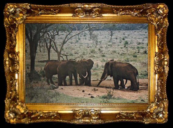 framed  unknow artist now overhang its existence of manniskans framtrangande cultivable and of elfenbenskopare,som done illegal elefantjakt to big business, ta009-2